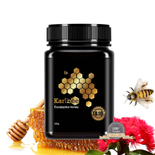 桉树蜜TA10+ 天然活性蜂蜜500g